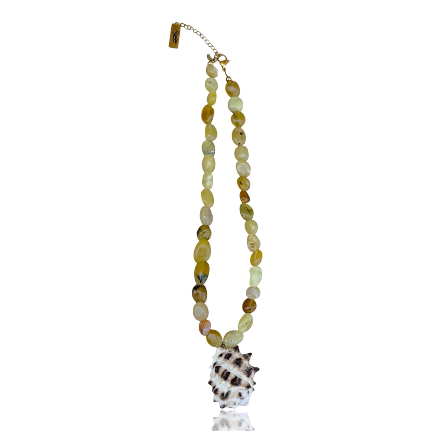 Collana SAVAGE SHELL ★ 𝒮𝓉𝓎𝓁𝒾𝓏ℯ 𝓈𝓉𝓊𝒹𝒾ℴ