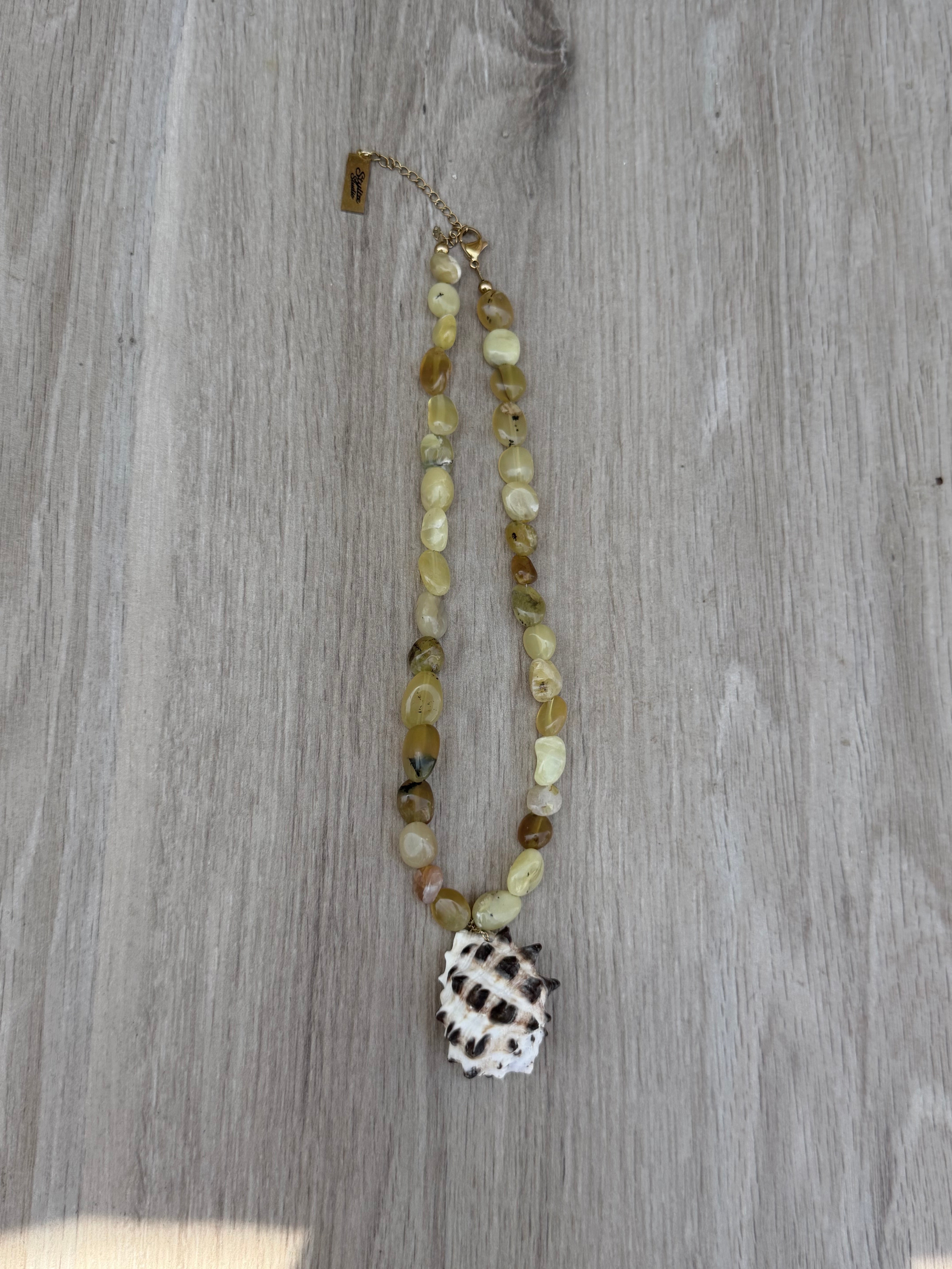 Collana SAVAGE SHELL ★ 𝒮𝓉𝓎𝓁𝒾𝓏ℯ 𝓈𝓉𝓊𝒹𝒾ℴ