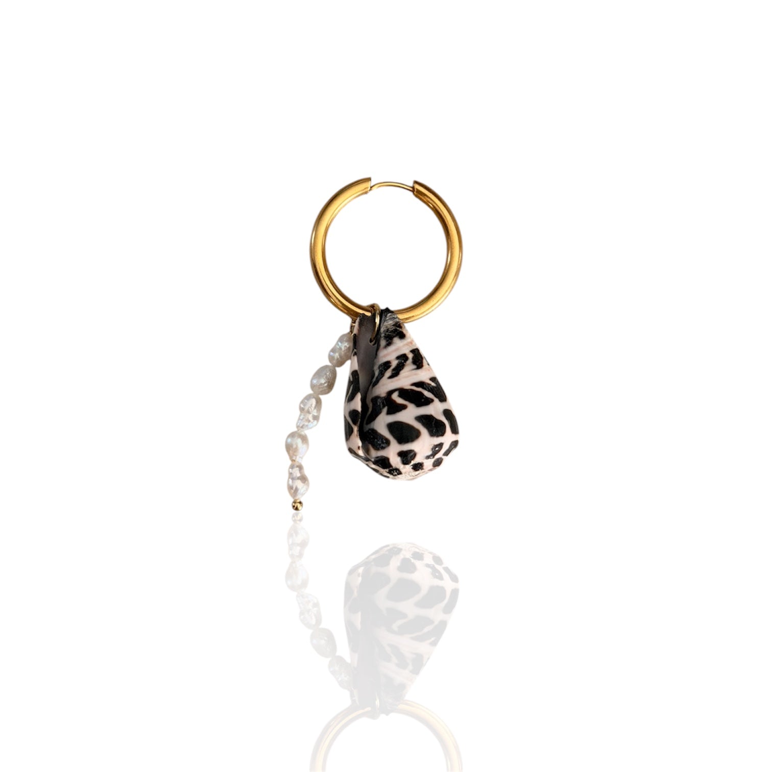 Orecchino WILD SHELL ★ 𝒮𝓉𝓎𝓁𝒾𝓏ℯ 𝓈𝓉𝓊𝒹𝒾ℴ